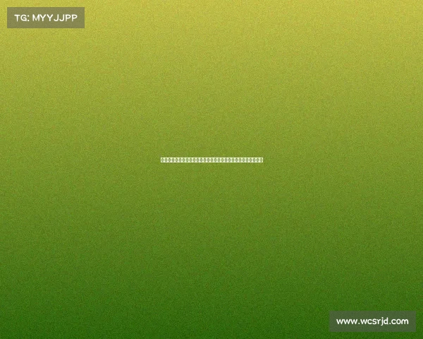 德甲微信聚焦:深度解析德国足球联赛的竞技魅力与未来发展趋势 德甲微信聚焦:深度解析德国足球联赛的竞技魅力与未来发展趋势